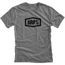 100% Essential T-Shirt Heather Grey